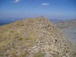 Tontor nagusia
