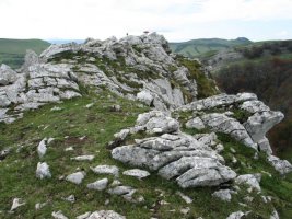 Tontorra