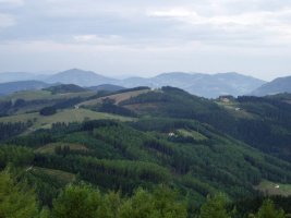 Irimotik ikusita