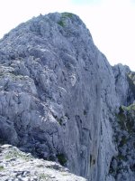 Tontorra