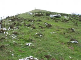Tontorra Mtik