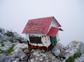 Buzoia
