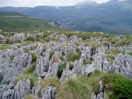 Karst eremua