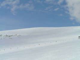Ascension