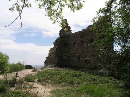 Tontorra
