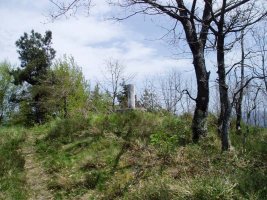 Tontorra