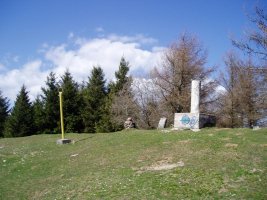 Tontorra