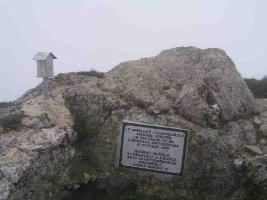 Tontorra