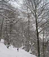 camino