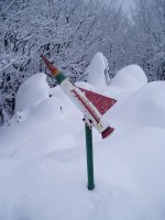 Buzoia