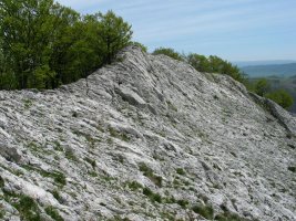 Ekialdeko gandorra
