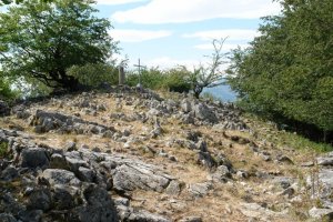 Tontorra