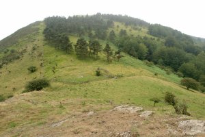 Ekialdeko bizkarra