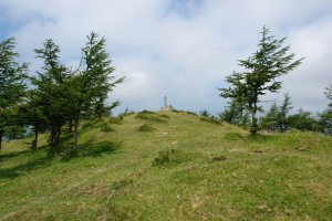 Tontorra