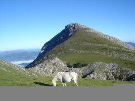 Larrunarri