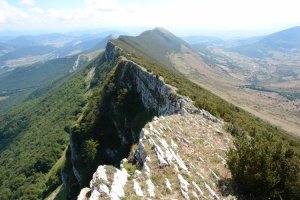 Txurregi aldera begira. Ekialdeko gandorra (VII).