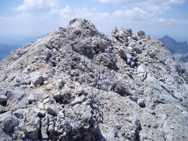 Tontorra
