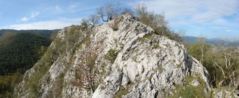 Arriona: gandorra