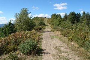 Tontorra ekialdetik