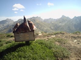 Buzoi Berria 2006ko Irailaren 17an jarrita.