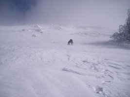bide gogorra