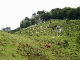 Mugarrikolanda
