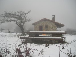 TXABOLA