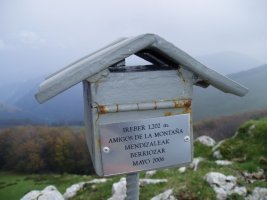 Buzoia