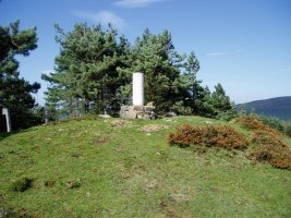 Tontorra