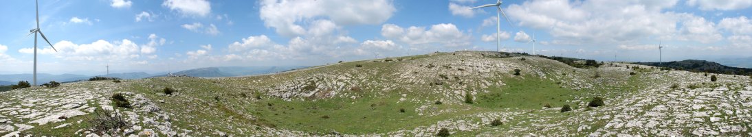 Tontorra