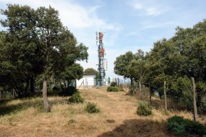 Tontorra