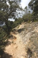 Artika aldeko bidea