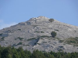Allaitz
