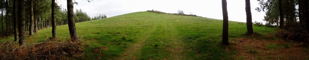 Tontorra