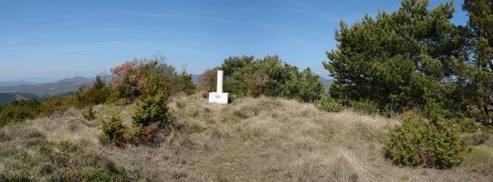 Tontorra