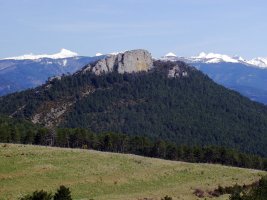 Aldu-Beortea