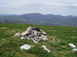 Auztarriko buzoi berri-berria