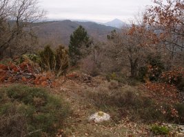 Alto de Lerga, gailurra.