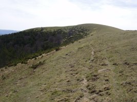 Gainaldea