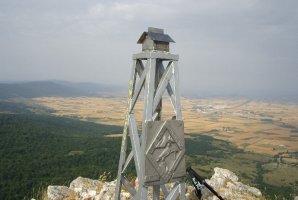 Buzoia
