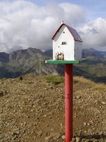 Buzoia