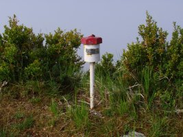 Txartelontzia