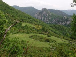 Potxe haitza Baigurako bidetik