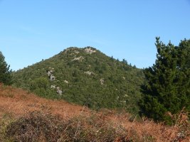 Ogoño