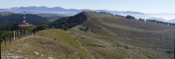 Artzelaieta San Gregorio-Harriaunditik