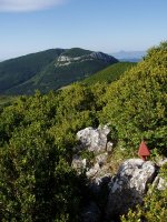 Buzoia eta Pausaran