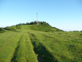 Tontorra