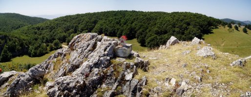 Tontorra