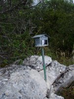 Txartelontzia