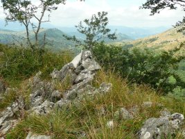 Tontorra